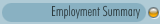 Employment Summary